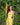 Cowrie Hemp Silk Crop